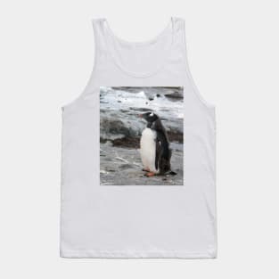 Gentoo penguin chick Tank Top